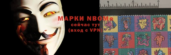 молекула духа Коряжма
