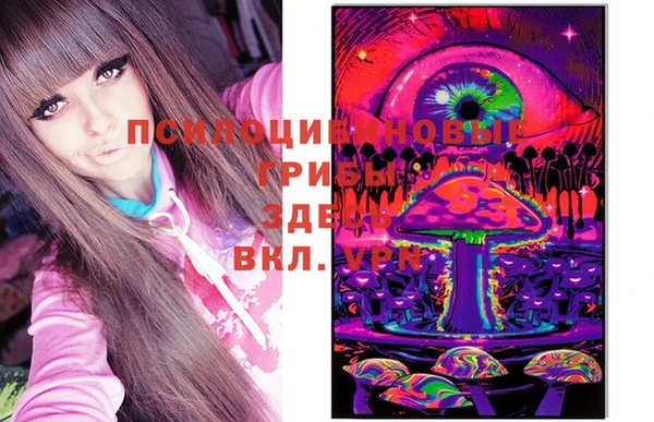 не бодяженный Корсаков