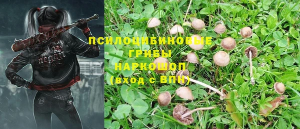 трава Кодинск