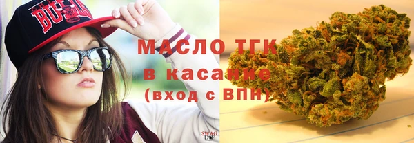 мдпв Краснослободск