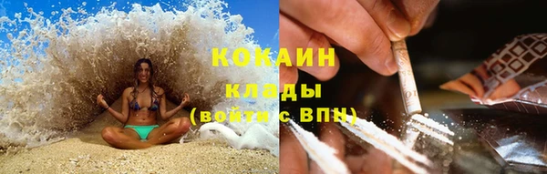 мдпв Краснослободск